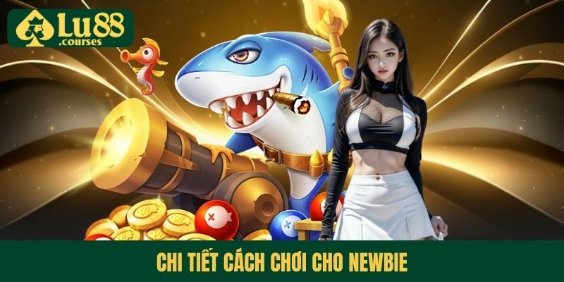 Chi tiết cách chơi cho newbie