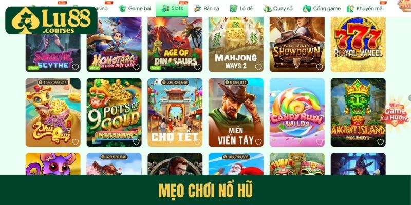 meo-choi-no-hu