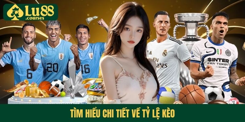 Tìm hiểu chi tiết về tỷ lệ thưởng