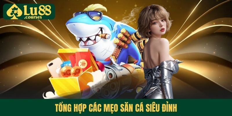Tổng hợp các mẹo săn cá siêu đỉnh